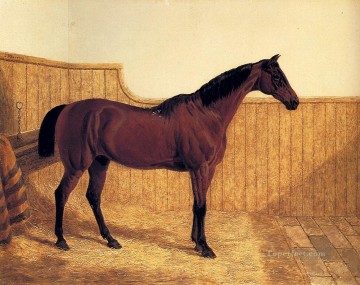 ジョン・フレデリック・ヘリング・シニア Painting - ルーズボックスに入ったベイハンター ニシン・シニア ジョン・フレデリック馬